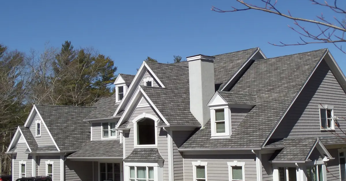Shingle Roof